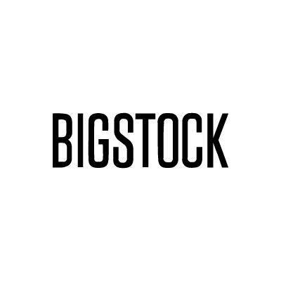 bigstock logo